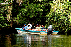 Tortuguero Channels, Costa Rica Image