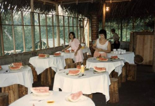 Original dining room with tables and stools made from salvaged tree trunks, c. 1986 Image