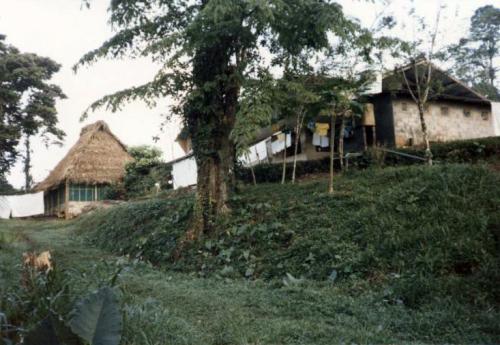 Original guest house and dining room with path to river. c. 1986 Image