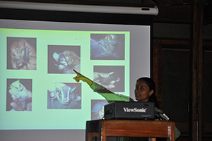 Selva Verde is equipped with AV, audio and WiFi Image