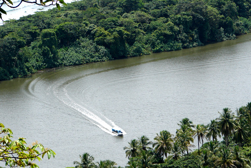 Tortuguero Channels, Costa Rica Image