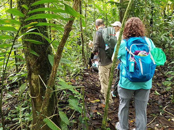 Hiking in the Rainforest at Selva Verde photo by John A. Gregory Image