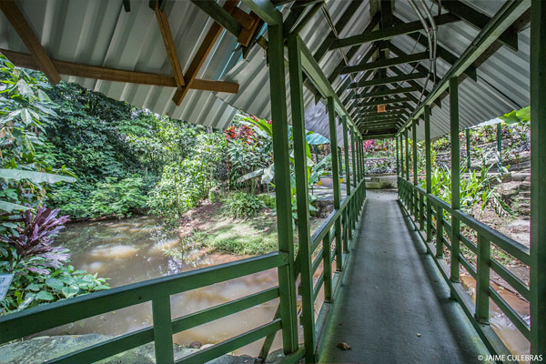 Photo by Jaime Culebras Image